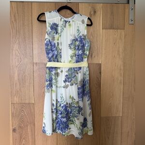 Adrienne Vittadini Women’s Sleeveless Printed Shirred Dress, Wisteria, 6 US